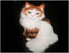 Toy cat